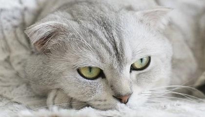 2025年最新上海有偿供卵招聘推荐(今日分享太原有偿供卵公司)