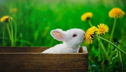 2025年最新有正规捐卵机构吗多少钱啊推荐(今日分享捐卵有正规医院吗)